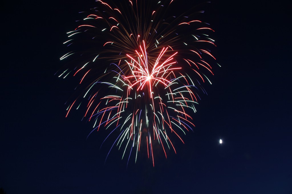 Peony Firework in Sky